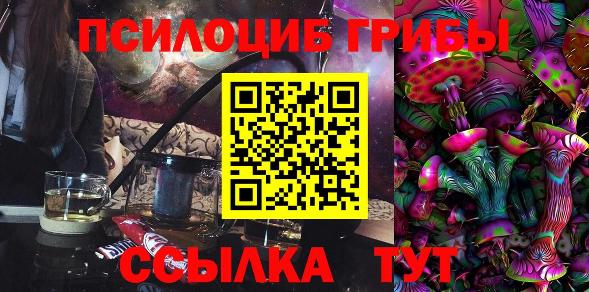 Галлюциногенные грибы Psilocybe Орёл