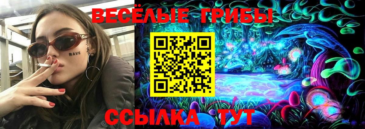 Орёл  Галлюциногенные грибы Psilocybine cubensis  Вход с VPN 