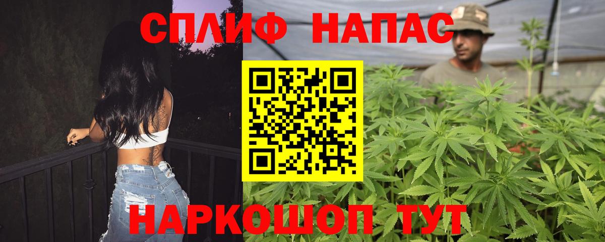 Марихуана гибрид Орёл